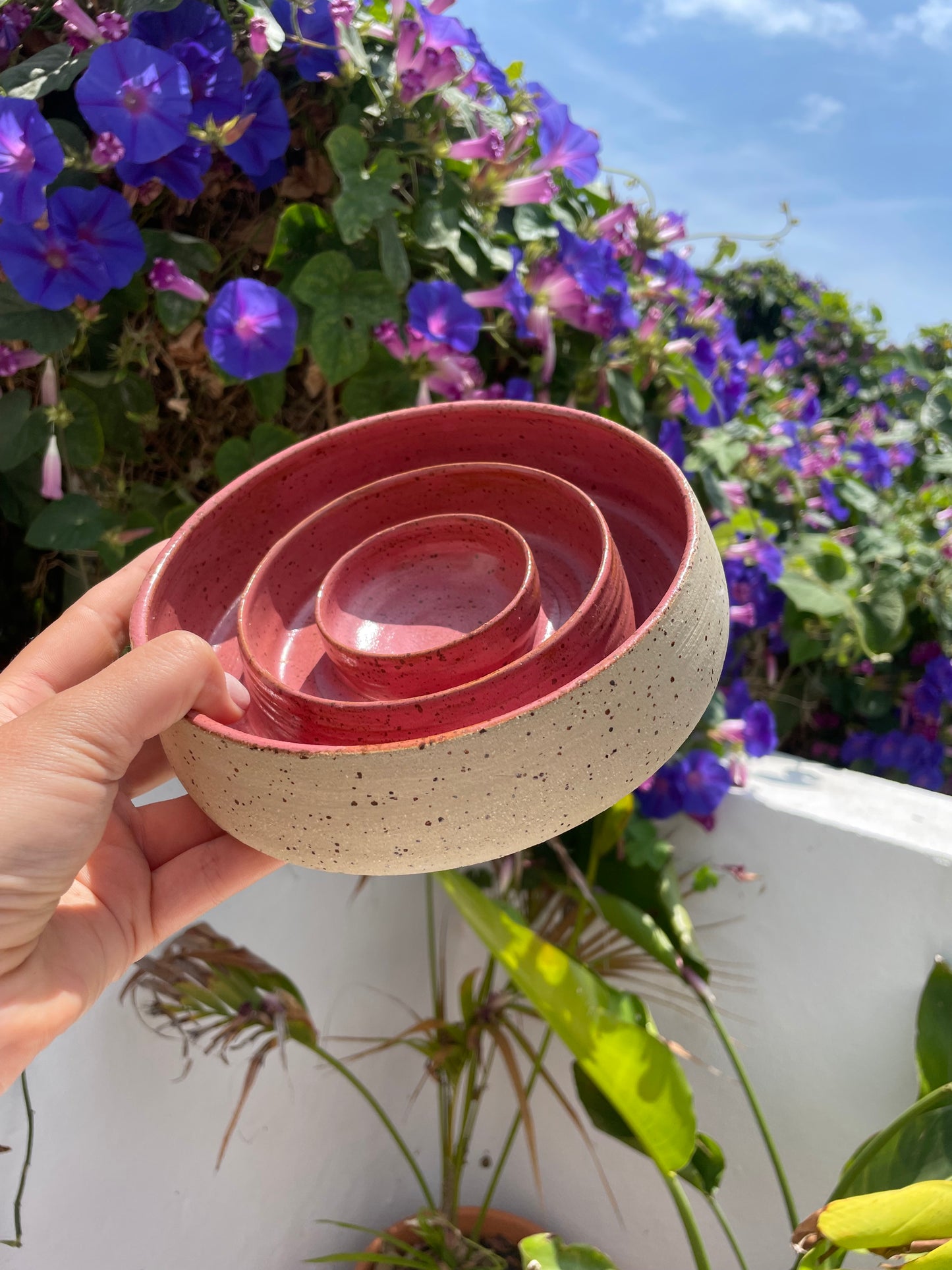 Slow feeder "Raspberry" M/L