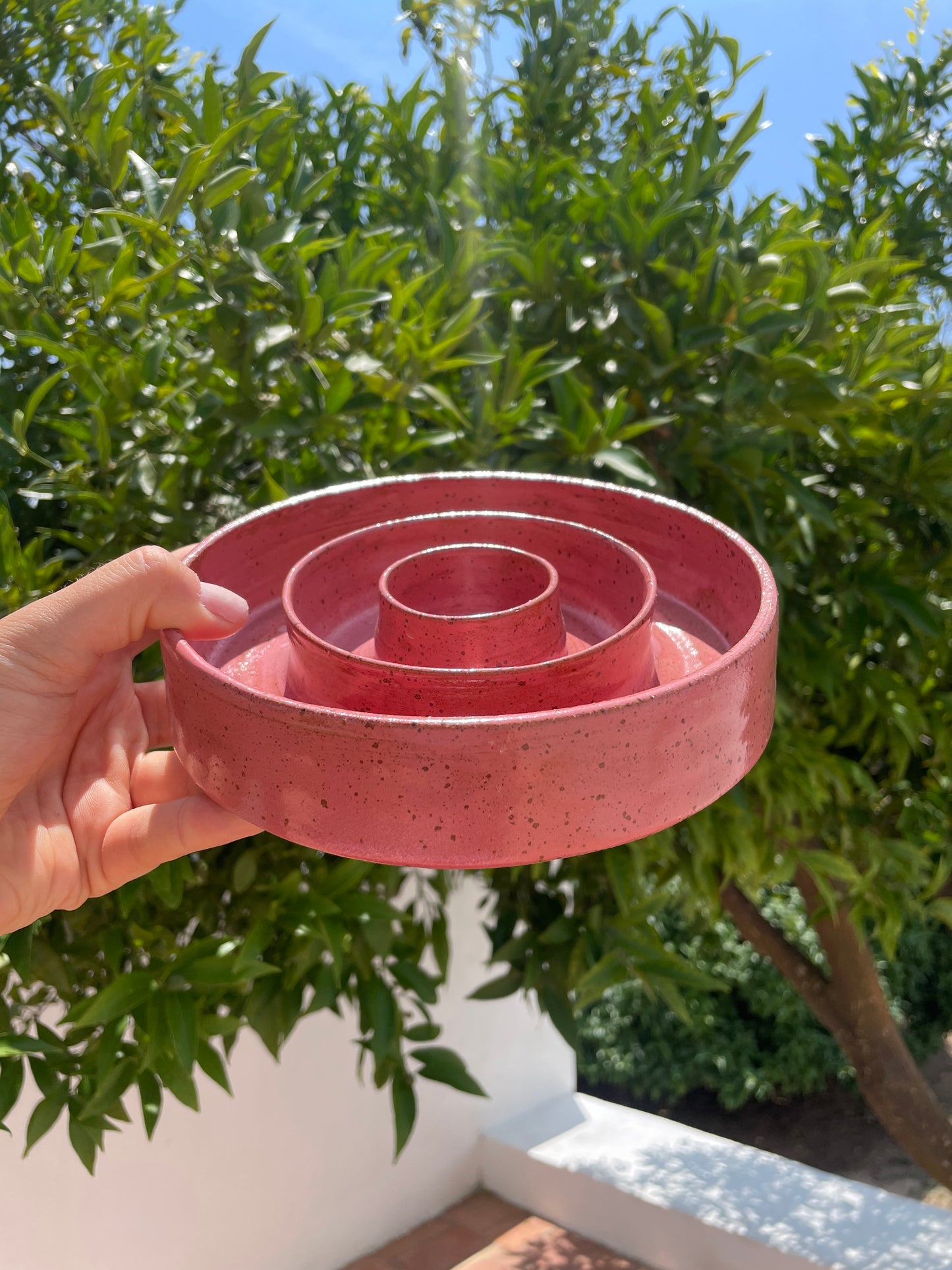 Slow feeder "Raspberry fully" M/L