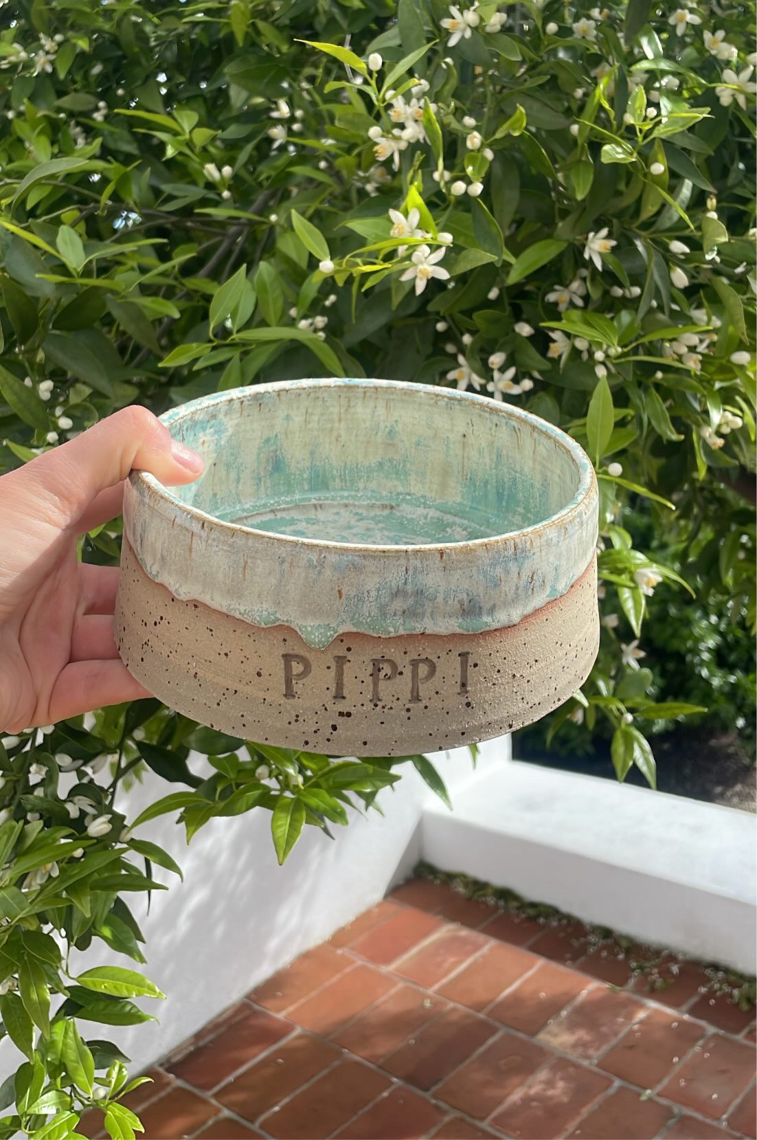 Dog Bowl "Moss"
