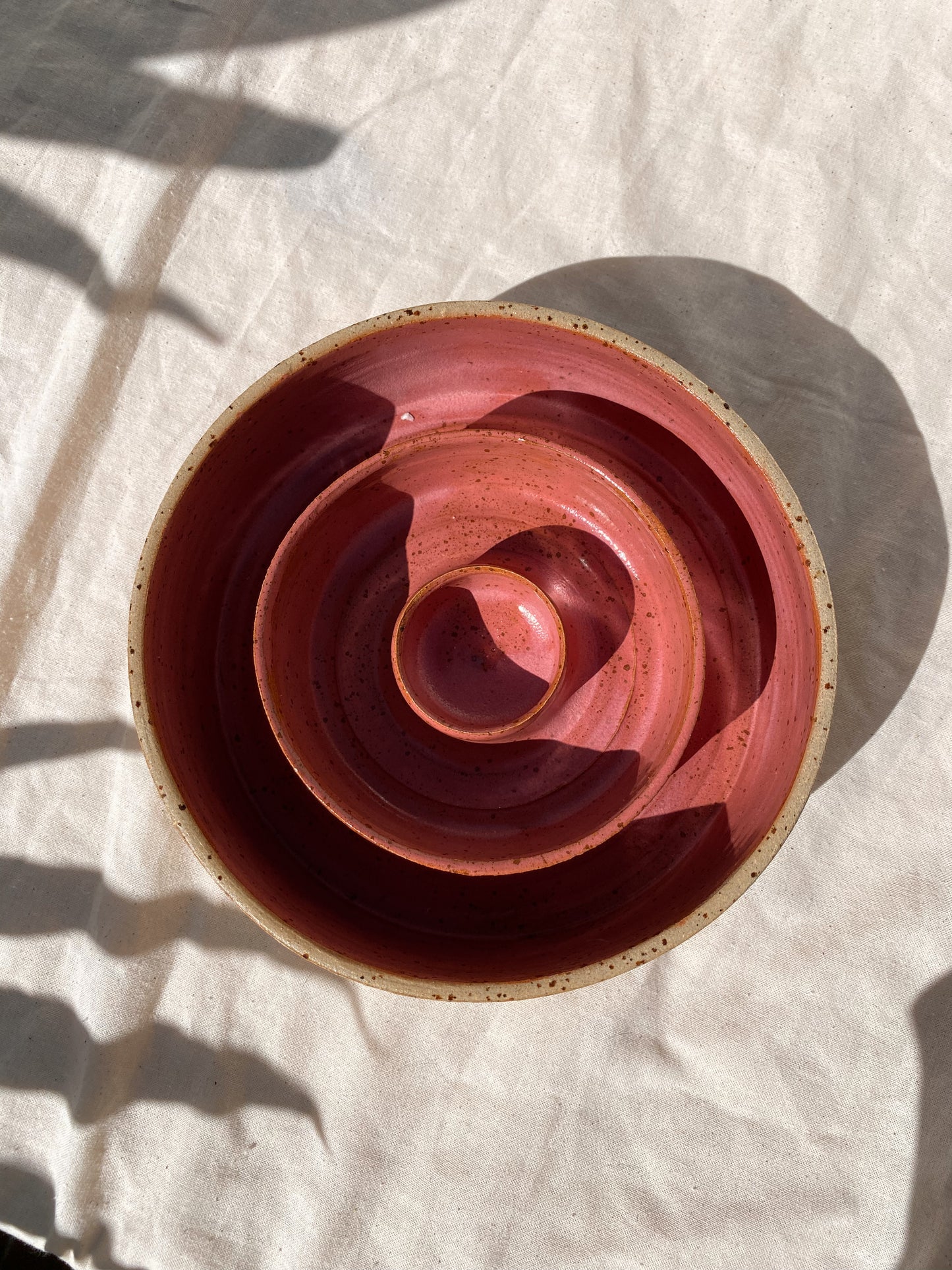 Slow Feeder "Raspberry"