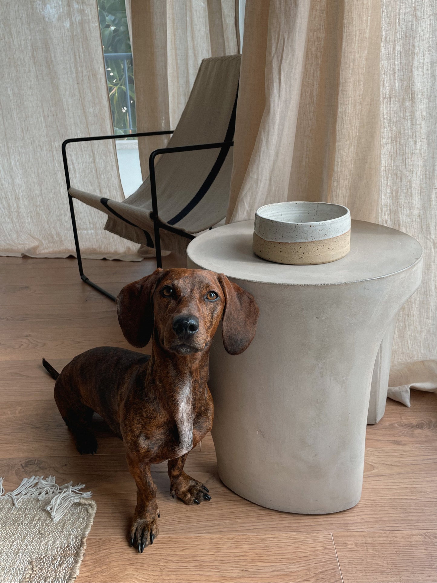Dog Bowl "Sand"