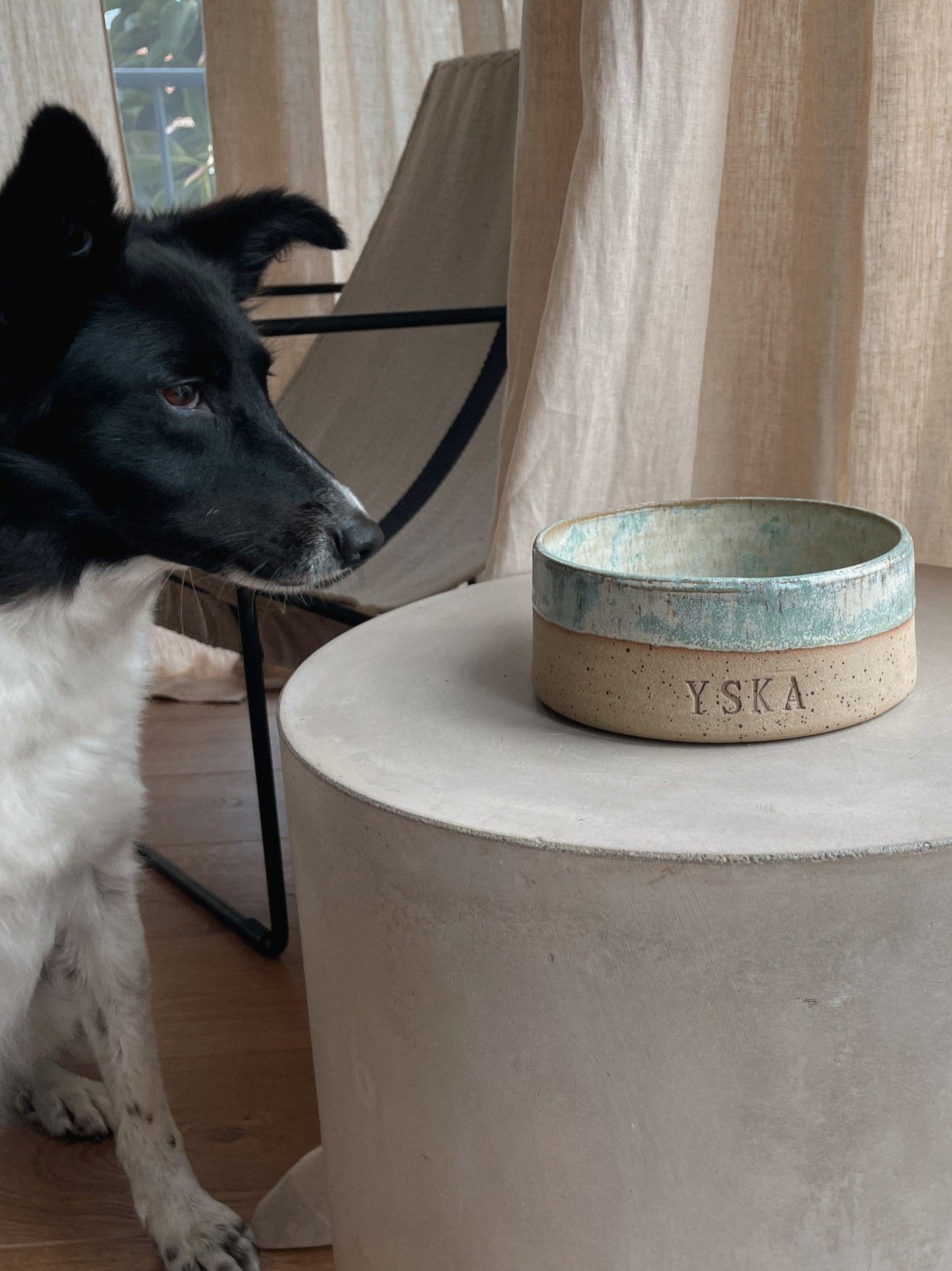 Dog Bowl "Moss"
