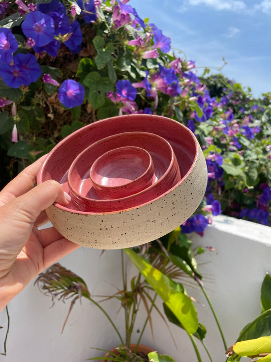 Slow feeder "Raspberry" M/L