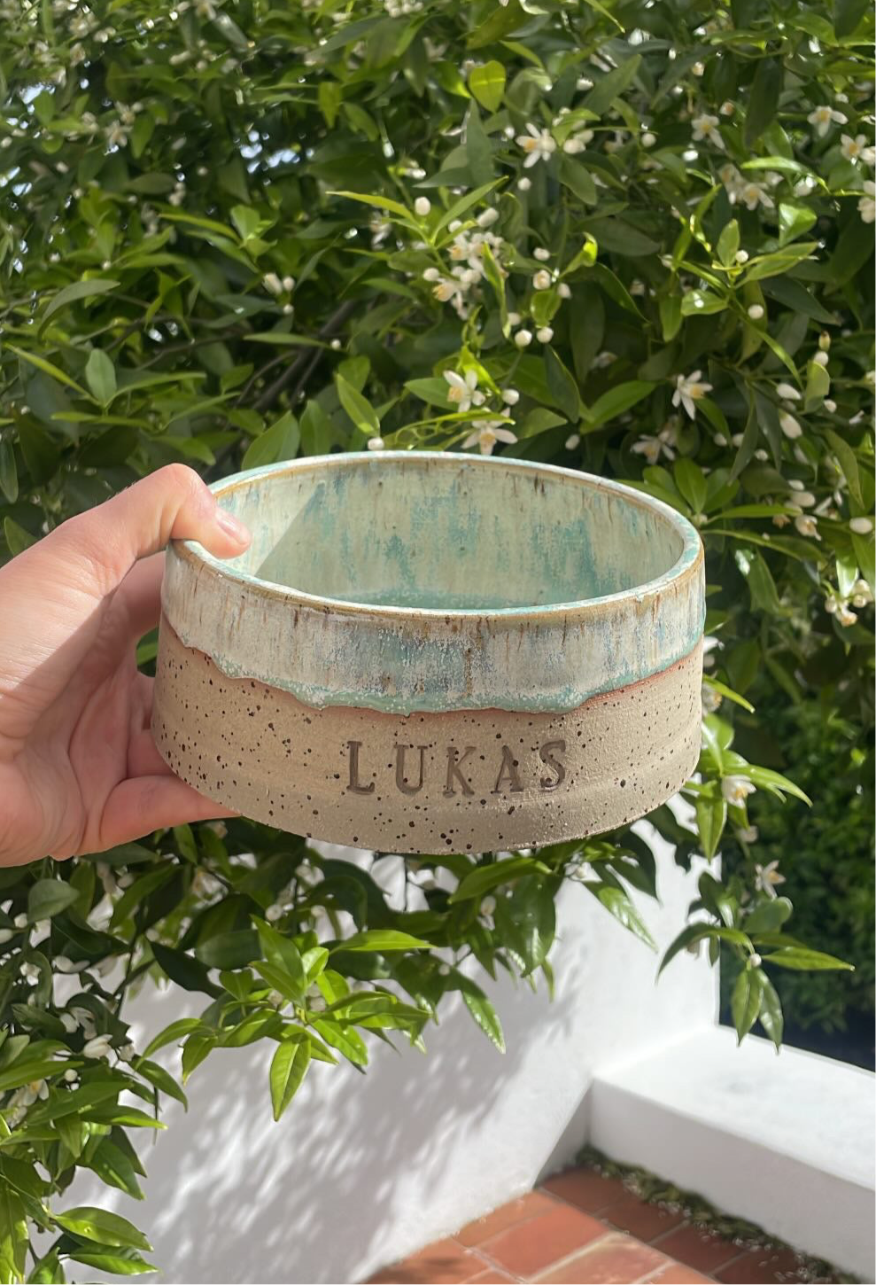 Dog Bowl "Moss"