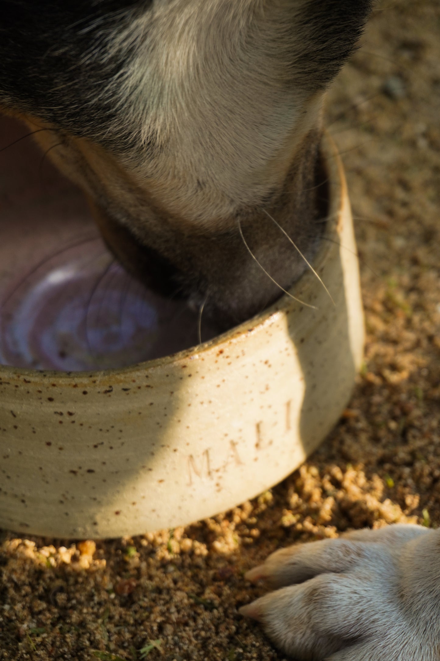 Dog Bowl "Rose"